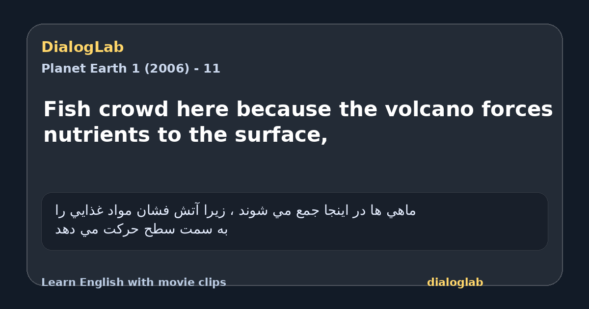 Share card for Fish crowd here because the volcano forces nutrients to the surface,