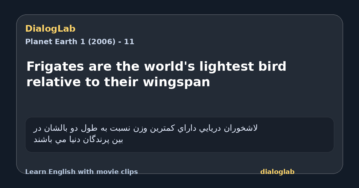 Share card for Frigates are the world's lightest bird relative to their wingspan