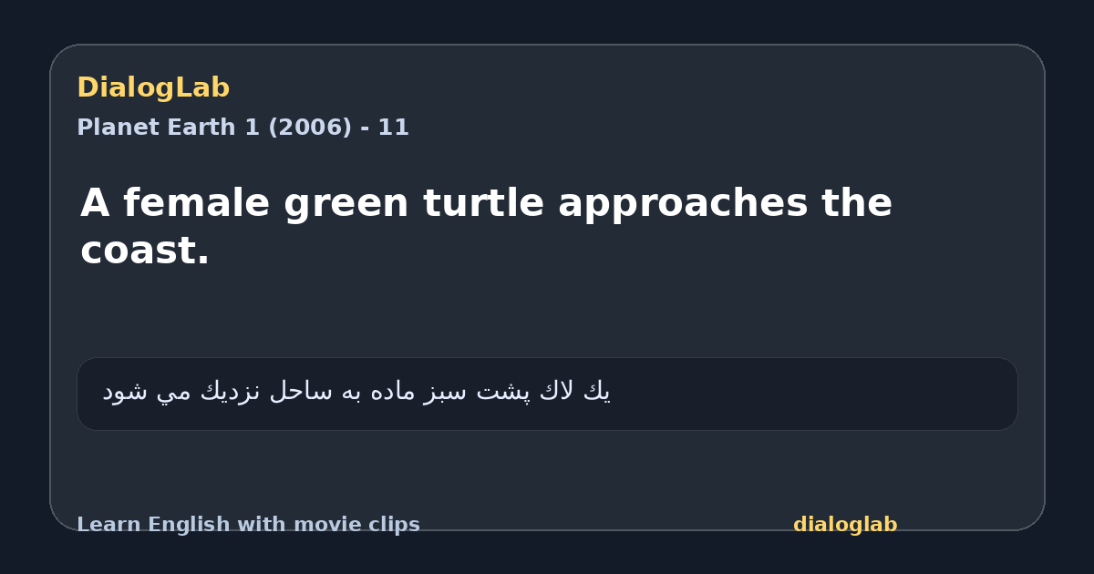 Share card for A female green turtle approaches the coast.