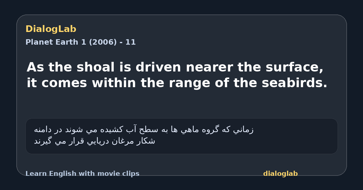 Share card for As the shoal is driven nearer the surface, it comes within the range of the seabirds.
