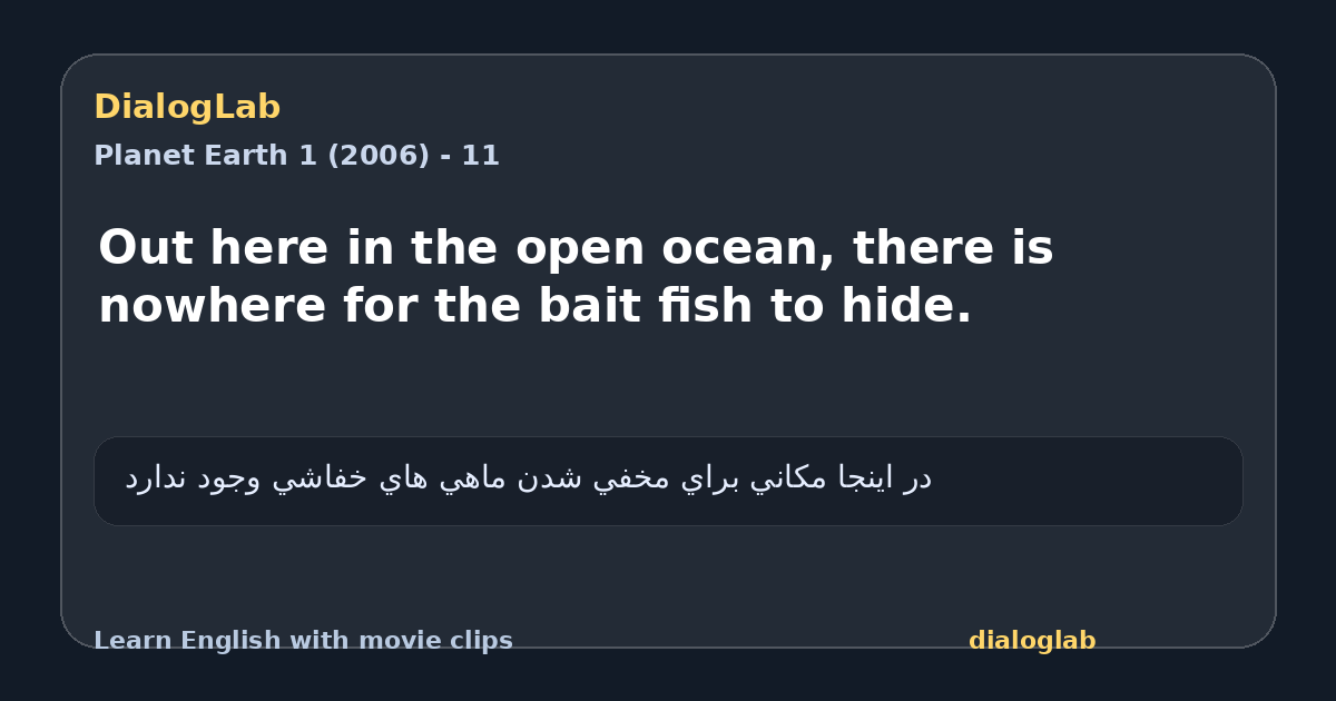 Share card for Out here in the open ocean, there is nowhere for the bait fish to hide.