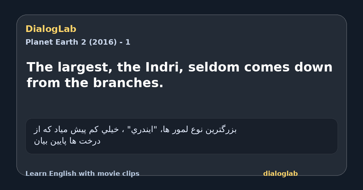 Share card for The largest, the Indri, seldom comes down from the branches.