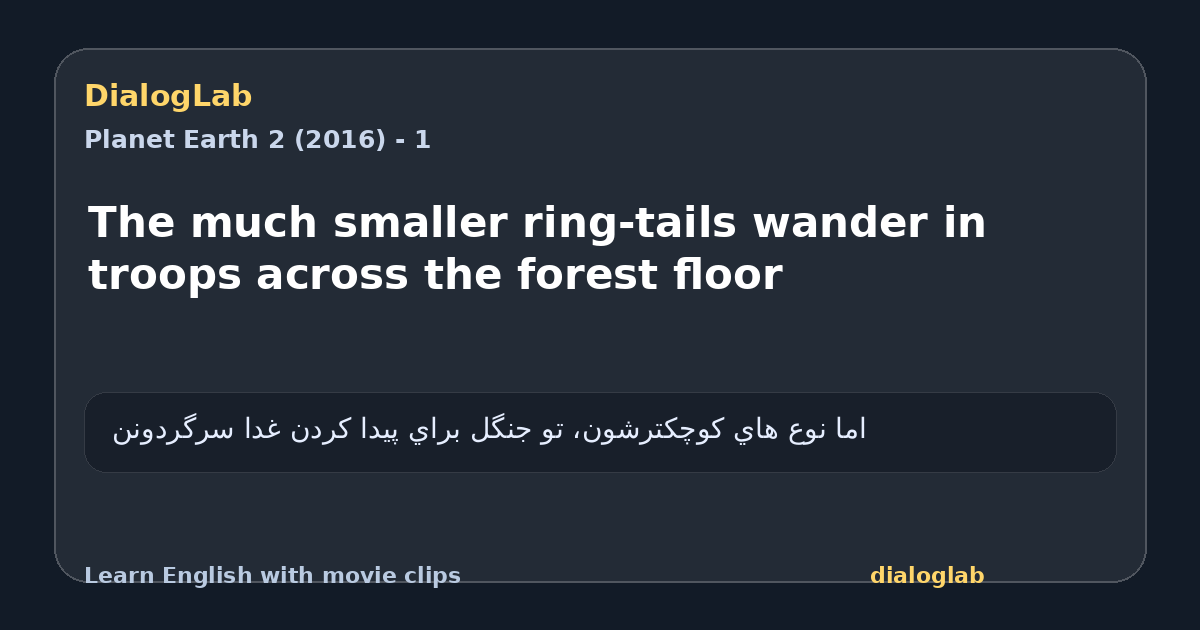 Share card for The much smaller ring-tails wander in troops across the forest floor