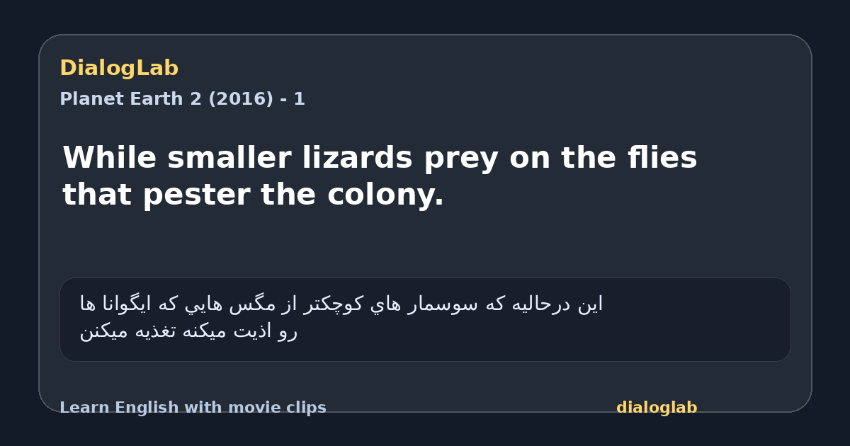 Share card for While smaller lizards prey on the flies that pester the colony.