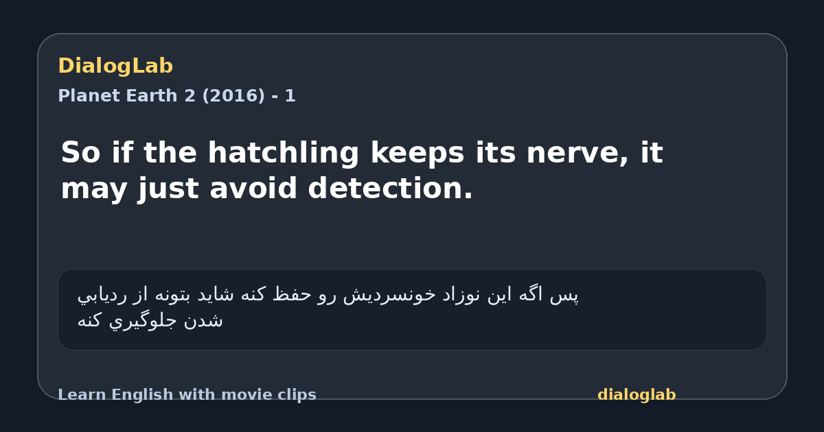 Share card for So if the hatchling keeps its nerve, it may just avoid detection.