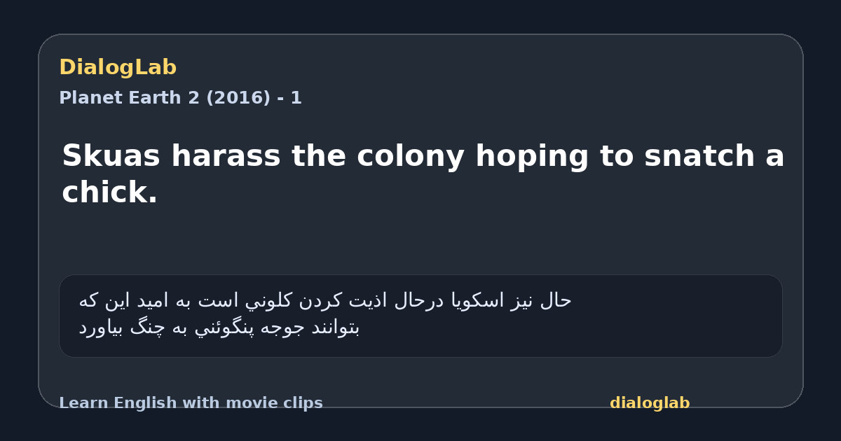 Share card for Skuas harass the colony hoping to snatch a chick.