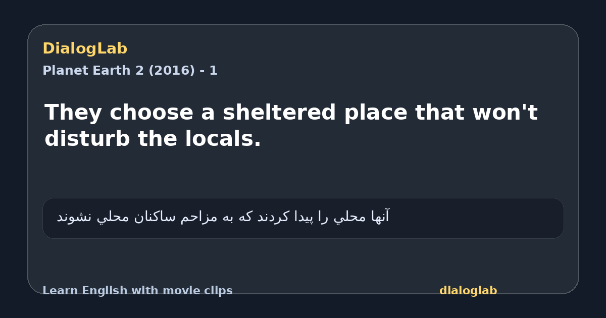 Share card for They choose a sheltered place that won't disturb the locals.