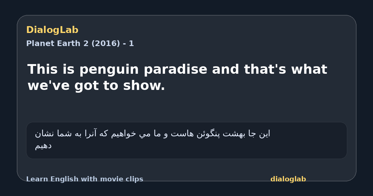 Share card for This is penguin paradise and that's what we've got to show.
