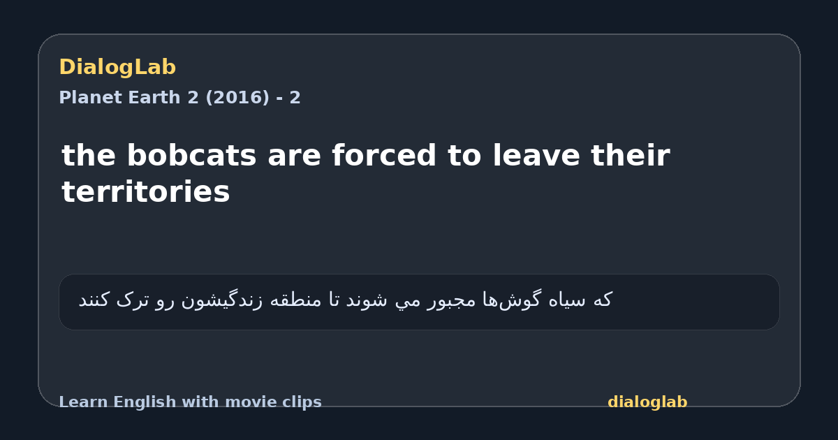 Share card for the bobcats are forced to leave their territories