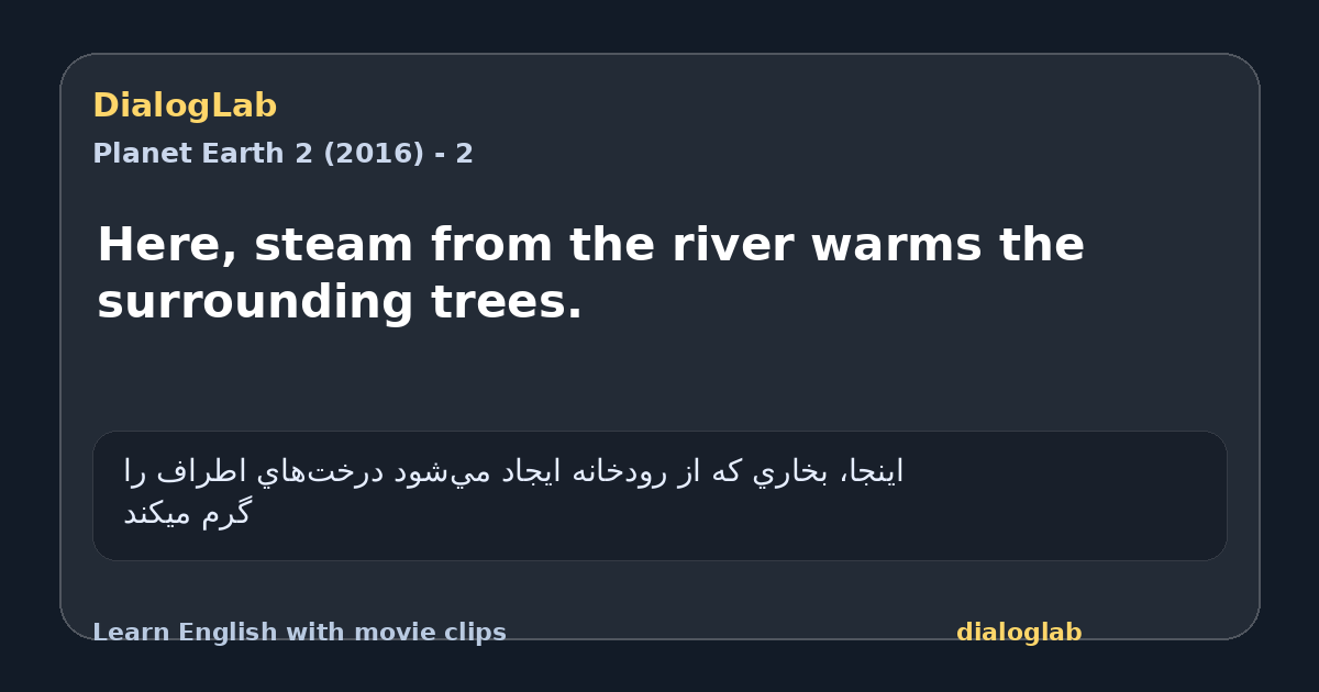 Share card for Here, steam from the river warms the surrounding trees.