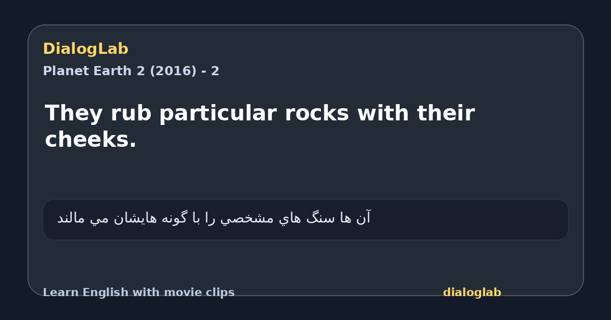 Share card for They rub particular rocks with their cheeks.