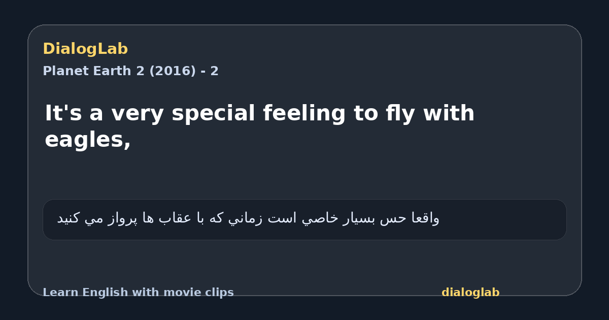 Share card for It's a very special feeling to fly with eagles,