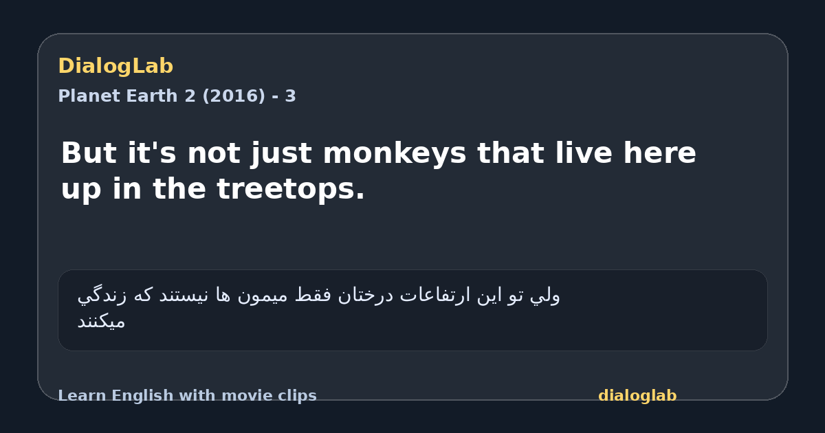 Share card for But it's not just monkeys that live here up in the treetops.