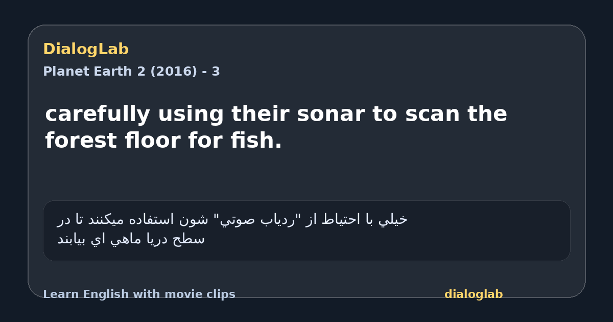 Share card for carefully using their sonar to scan the forest floor for fish.