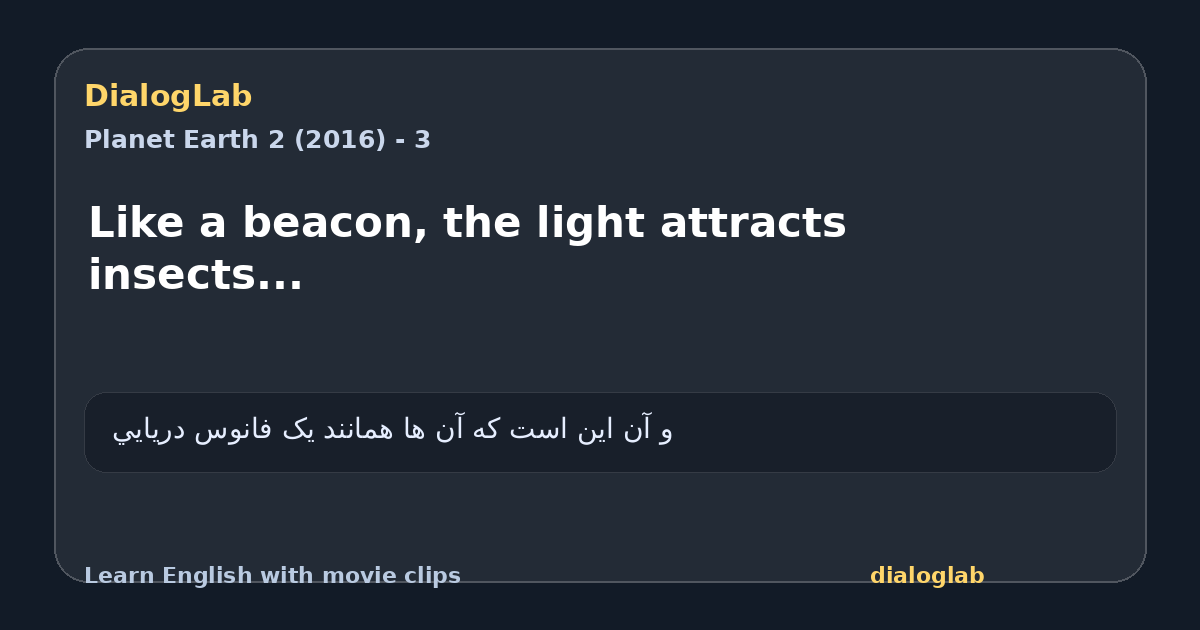 Share card for Like a beacon, the light attracts insects...