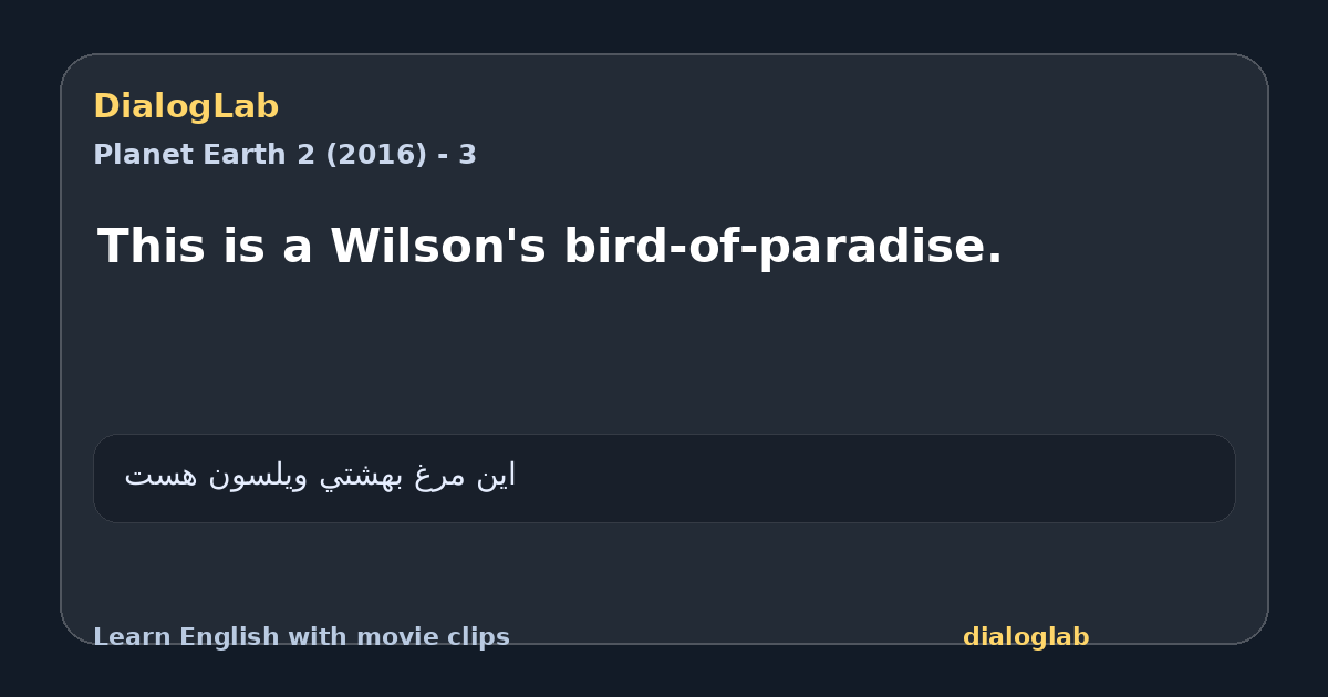 Share card for This is a Wilson's bird-of-paradise.