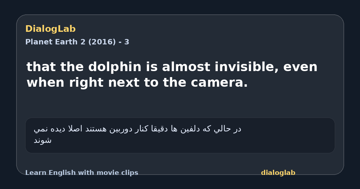 Share card for that the dolphin is almost invisible, even when right next to the camera.