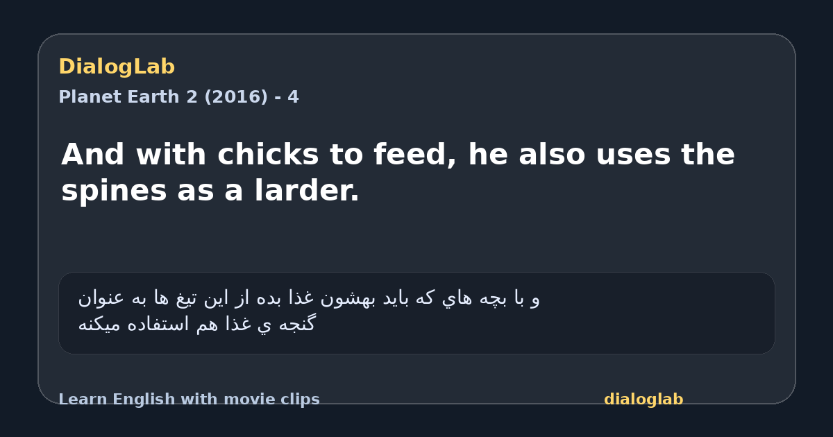 Share card for And with chicks to feed, he also uses the spines as a larder.