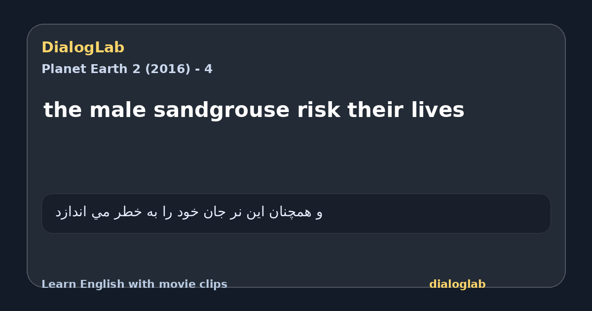 Share card for the male sandgrouse risk their lives