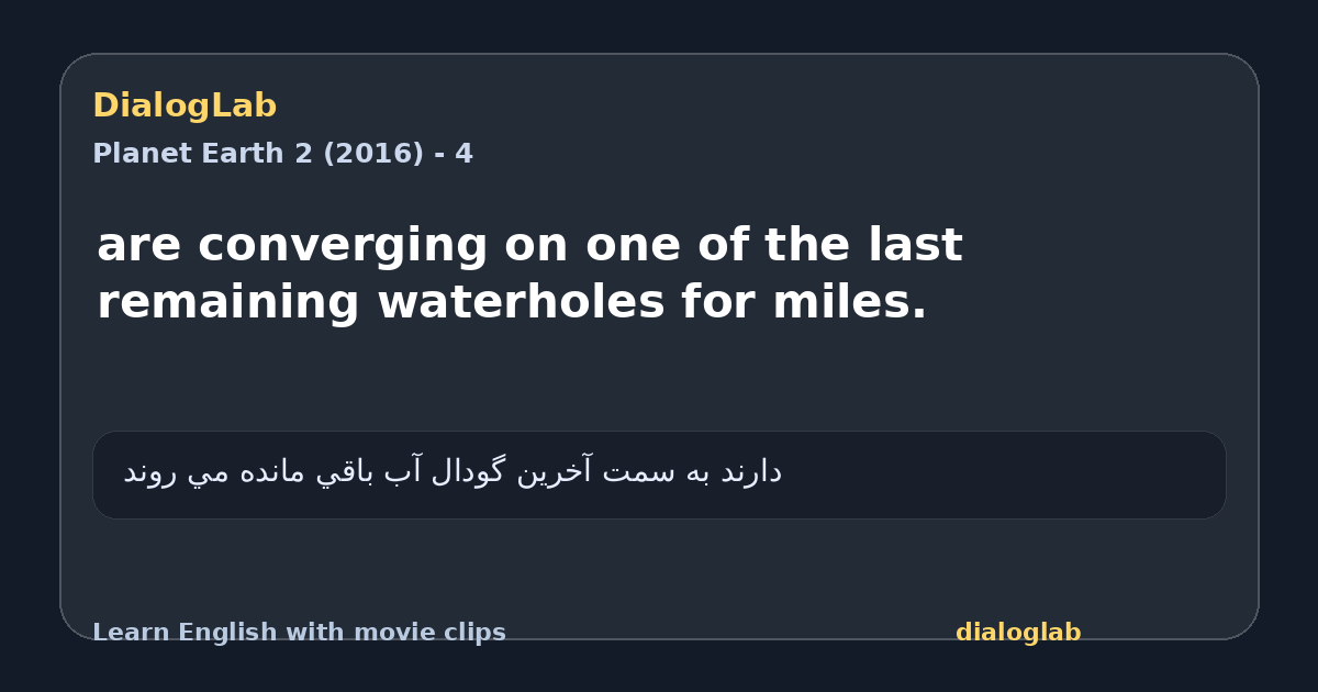 Share card for are converging on one of the last remaining waterholes for miles.