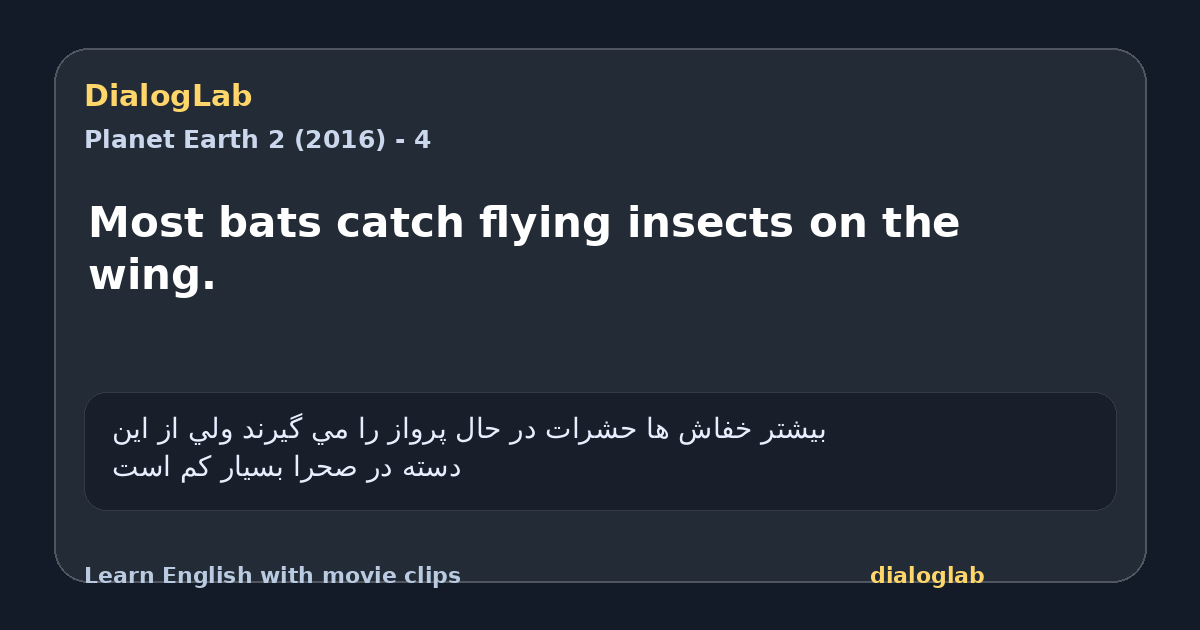 Share card for Most bats catch flying insects on the wing.