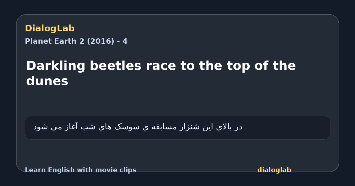 Share card for Darkling beetles race to the top of the dunes