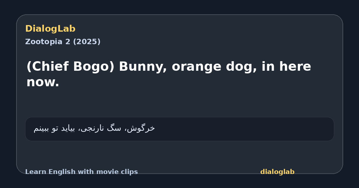 Share card for (Chief Bogo) Bunny, orange dog, in here now.