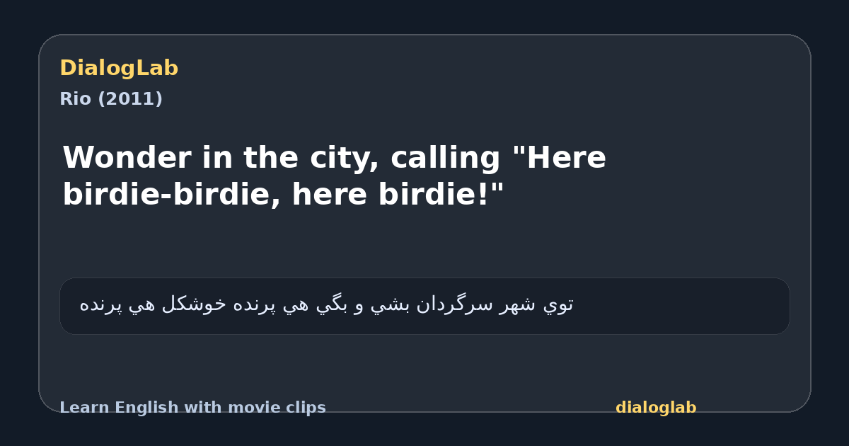 Share card for Wonder in the city, calling "Here birdie-birdie, here birdie!"