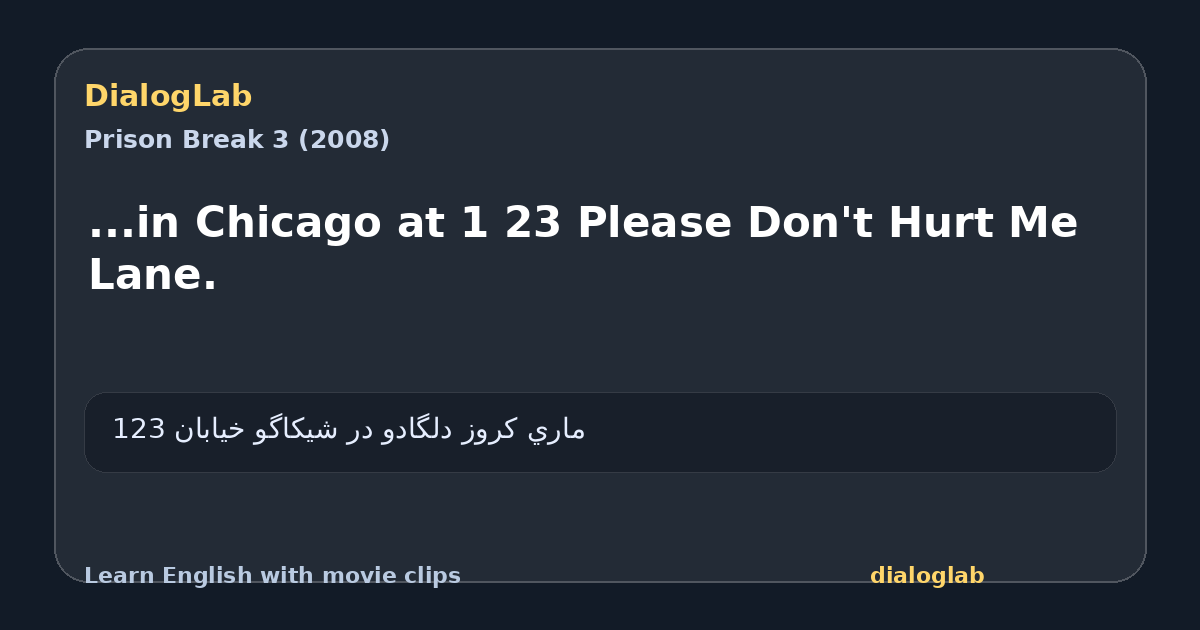 Share card for ...in Chicago at 1 23 Please Don't Hurt Me Lane.