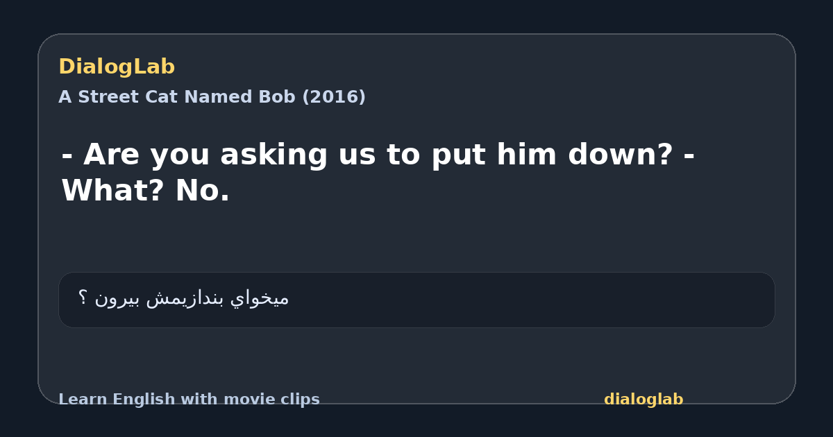 Share card for - Are you asking us to put him down? - What? No.