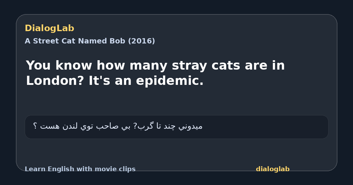 Share card for You know how many stray cats are in London? It's an epidemic.