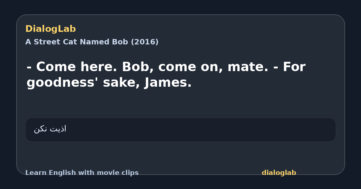 Share card for - Come here. Bob, come on, mate. - For goodness' sake, James.
