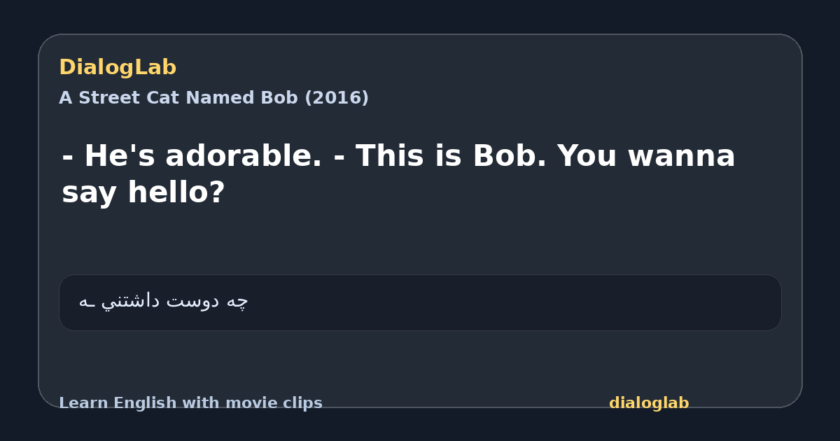 Share card for - He's adorable. - This is Bob. You wanna say hello?