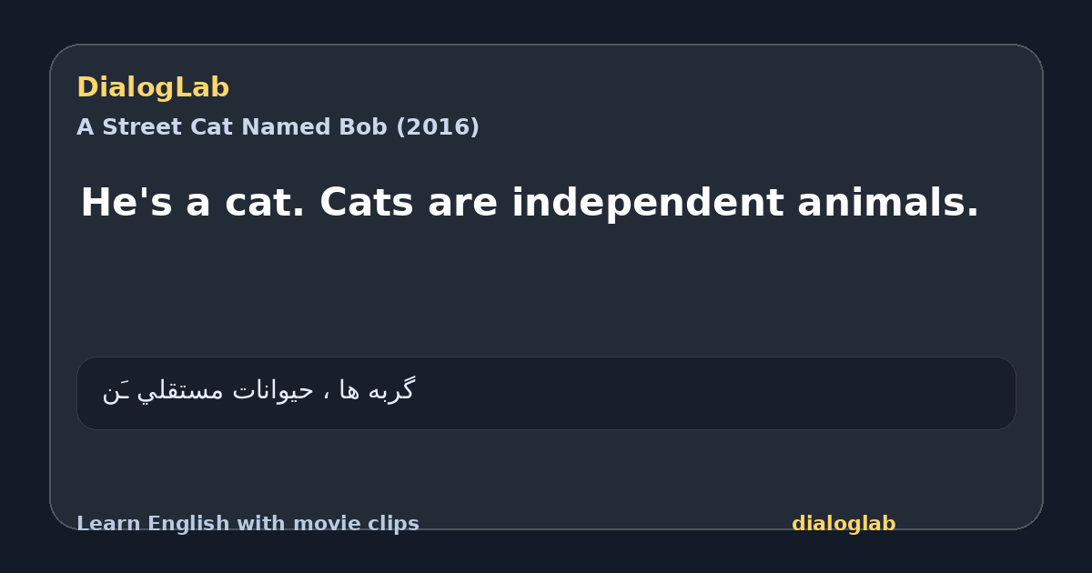 Share card for He's a cat. Cats are independent animals.