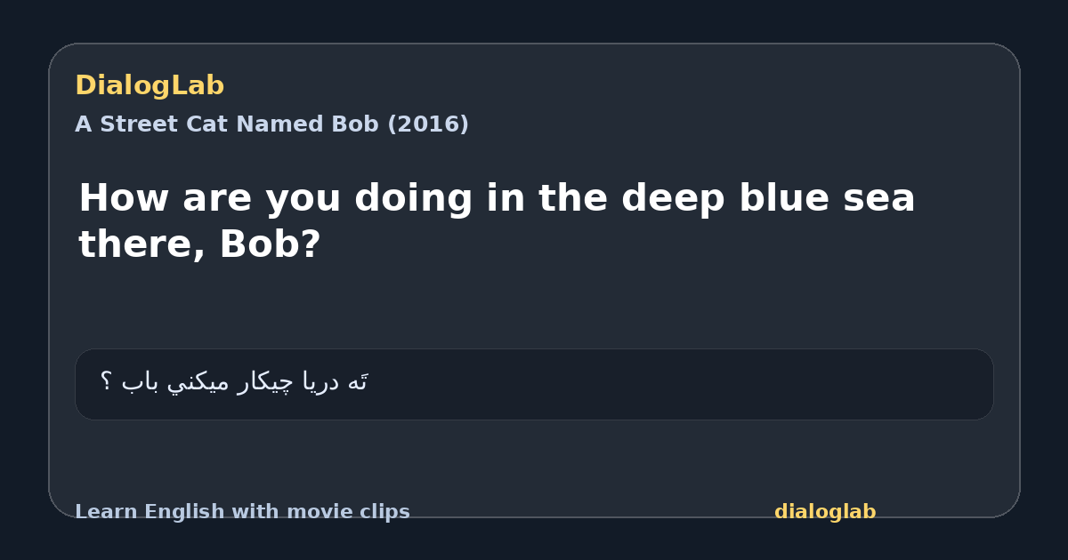 Share card for How are you doing in the deep blue sea there, Bob?