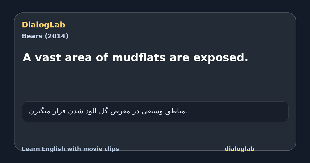 Share card for A vast area of mudflats are exposed.