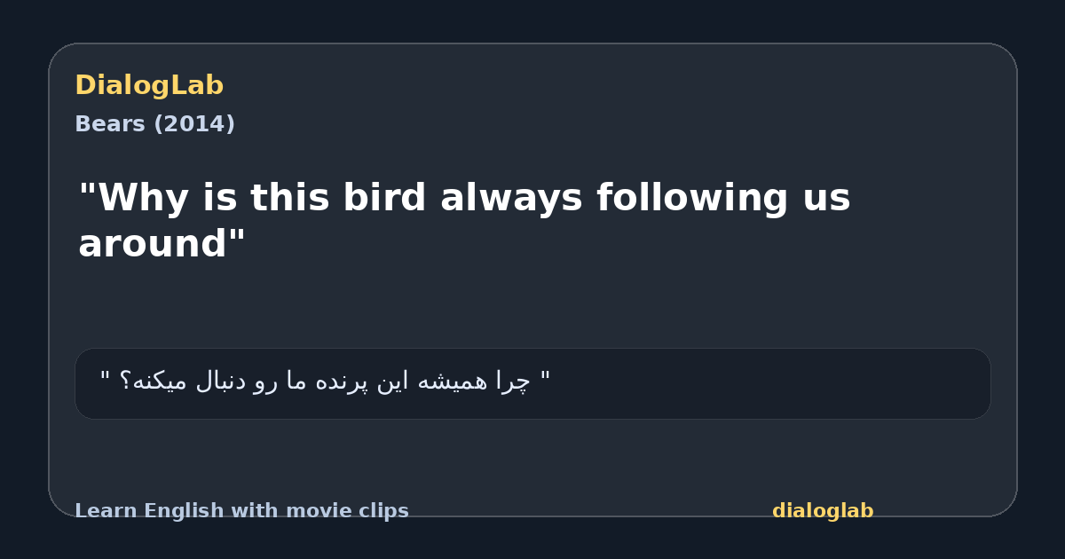 Share card for "Why is this bird always following us around"