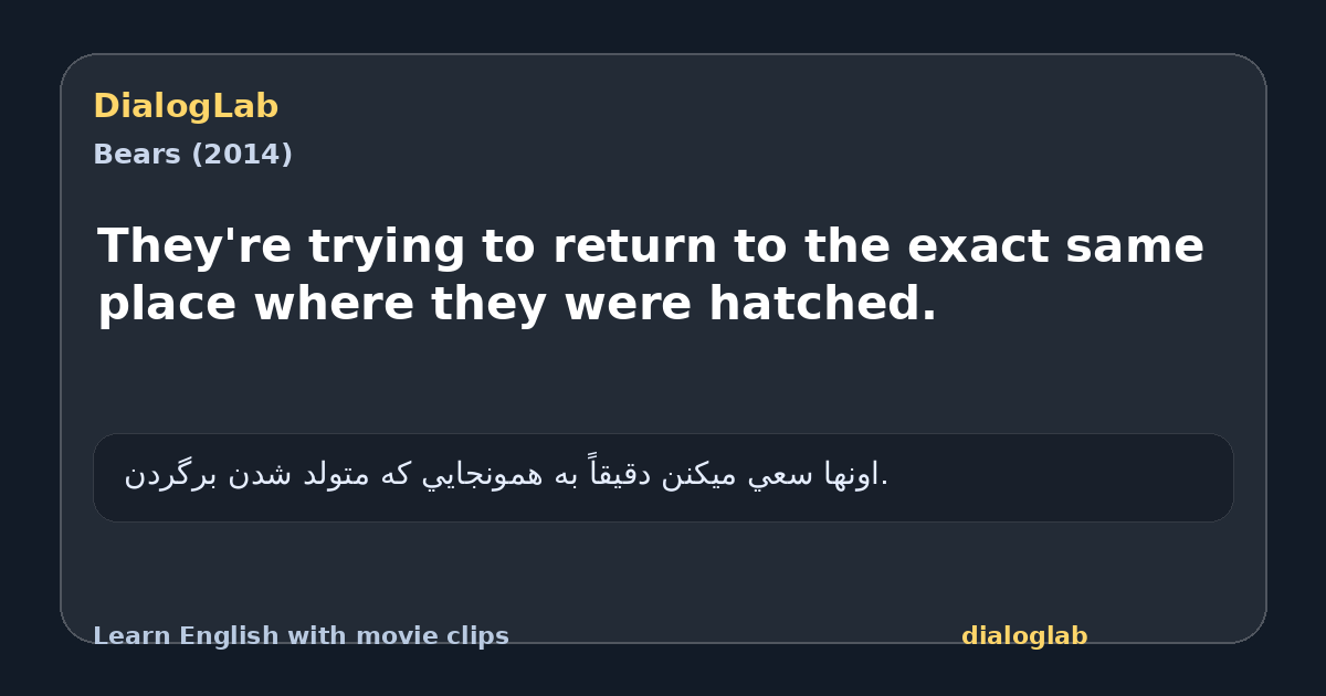Share card for They're trying to return to the exact same place where they were hatched.