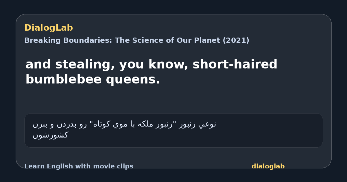 Share card for and stealing, you know, short-haired bumblebee queens.