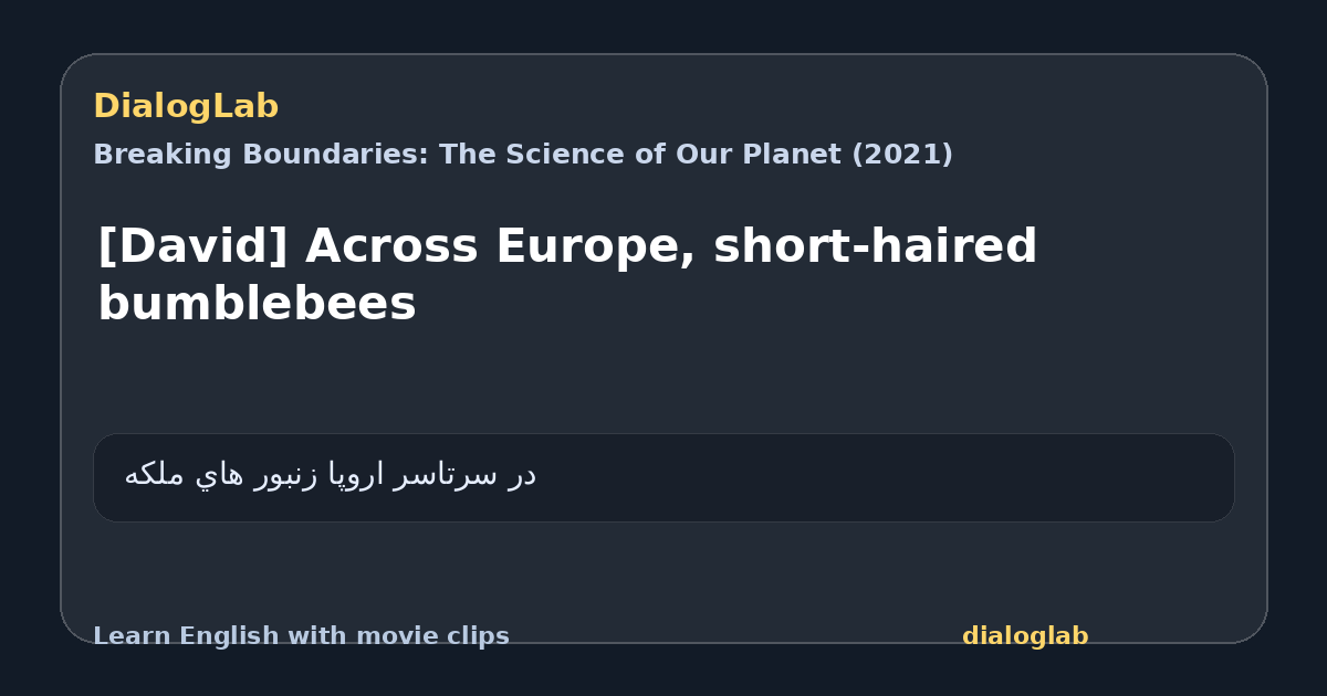 Share card for [David] Across Europe, short-haired bumblebees