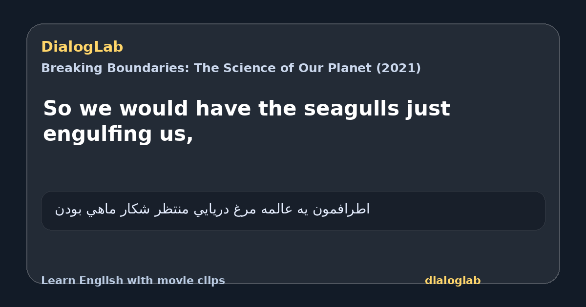 Share card for So we would have the seagulls just engulfing us,