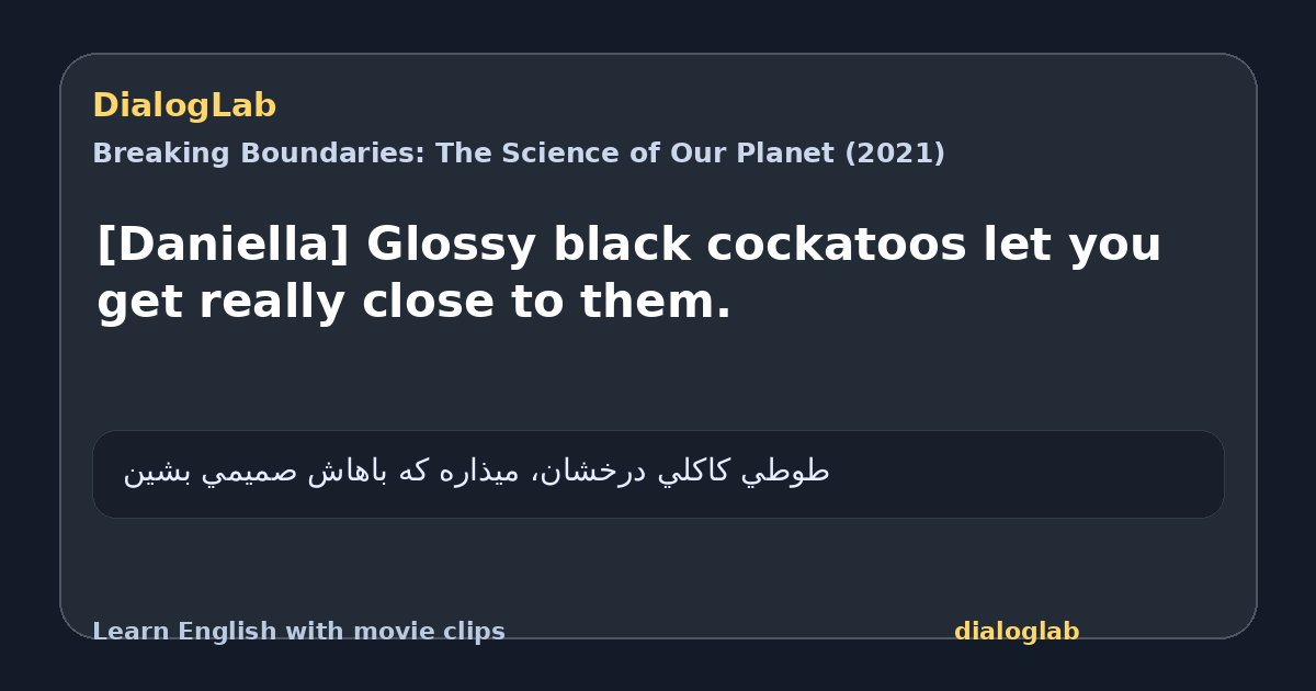 Share card for [Daniella] Glossy black cockatoos let you get really close to them.