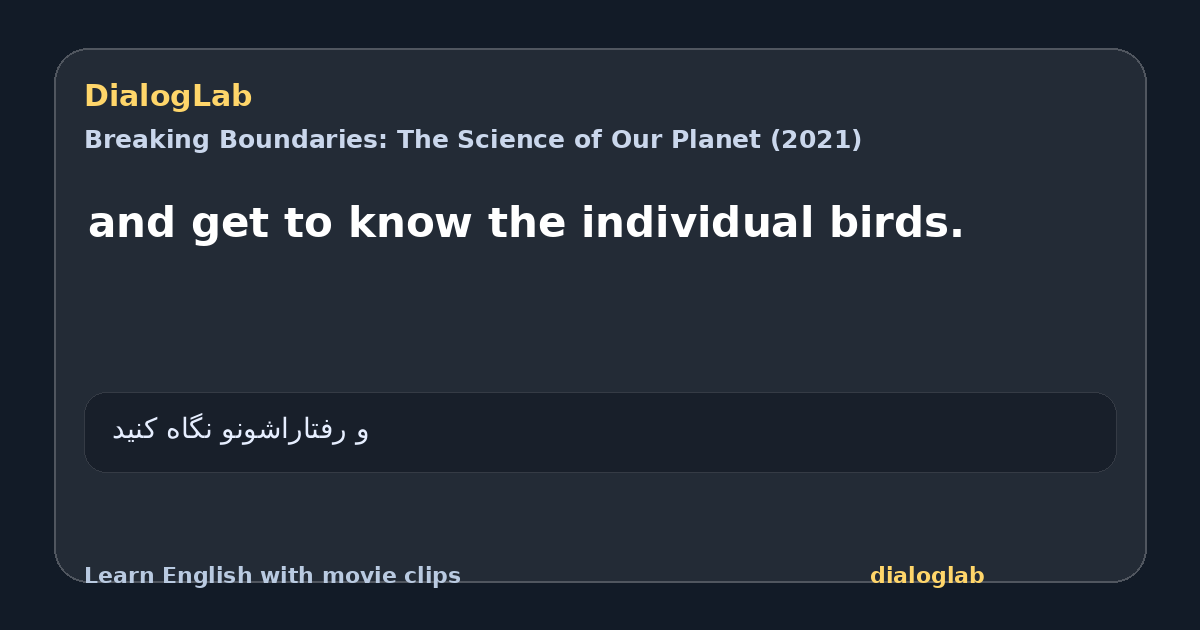 Share card for and get to know the individual birds.