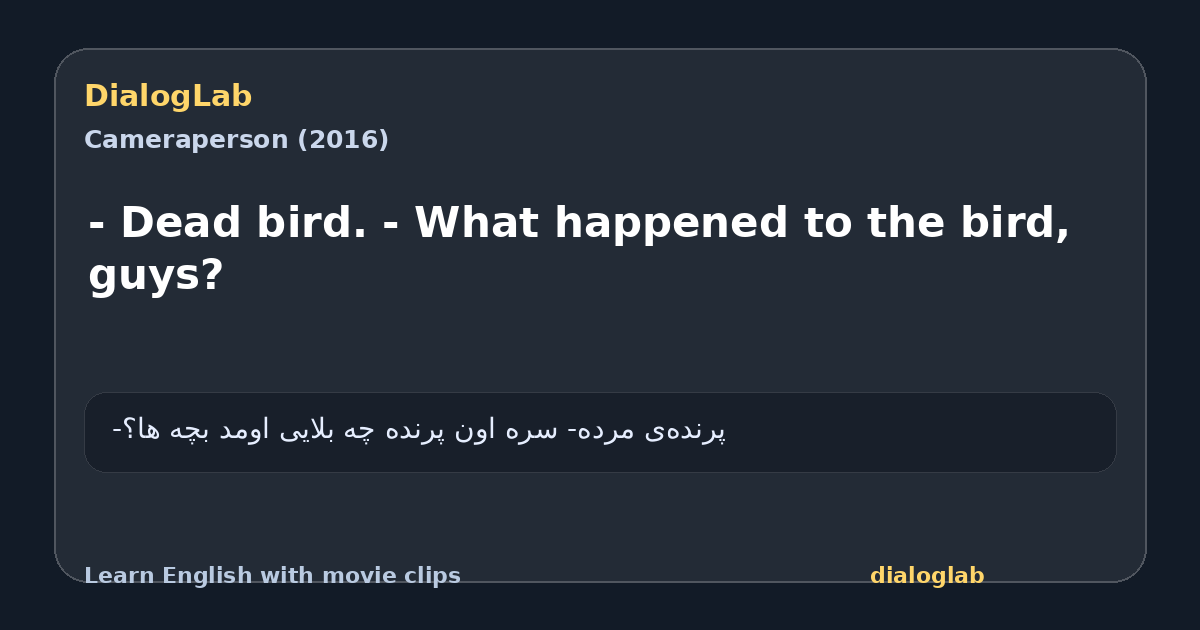 Share card for - Dead bird. - What happened to the bird, guys?