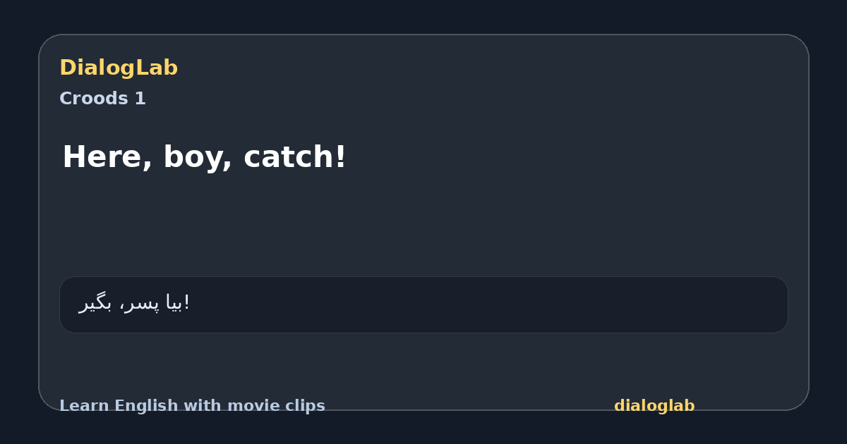 Share card for Here, boy, catch!