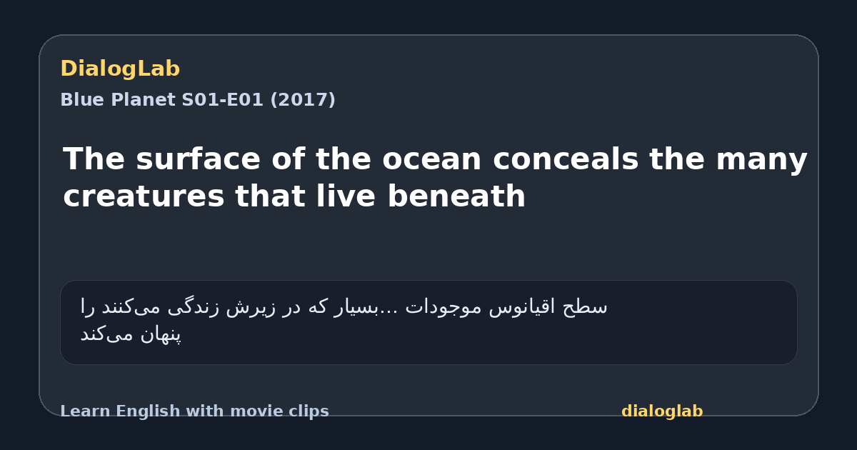 Share card for The surface of the ocean conceals the many creatures that live beneath