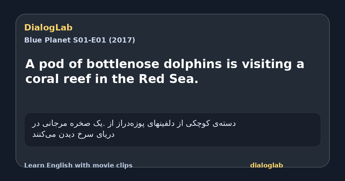 Share card for A pod of bottlenose dolphins is visiting a coral reef in the Red Sea.