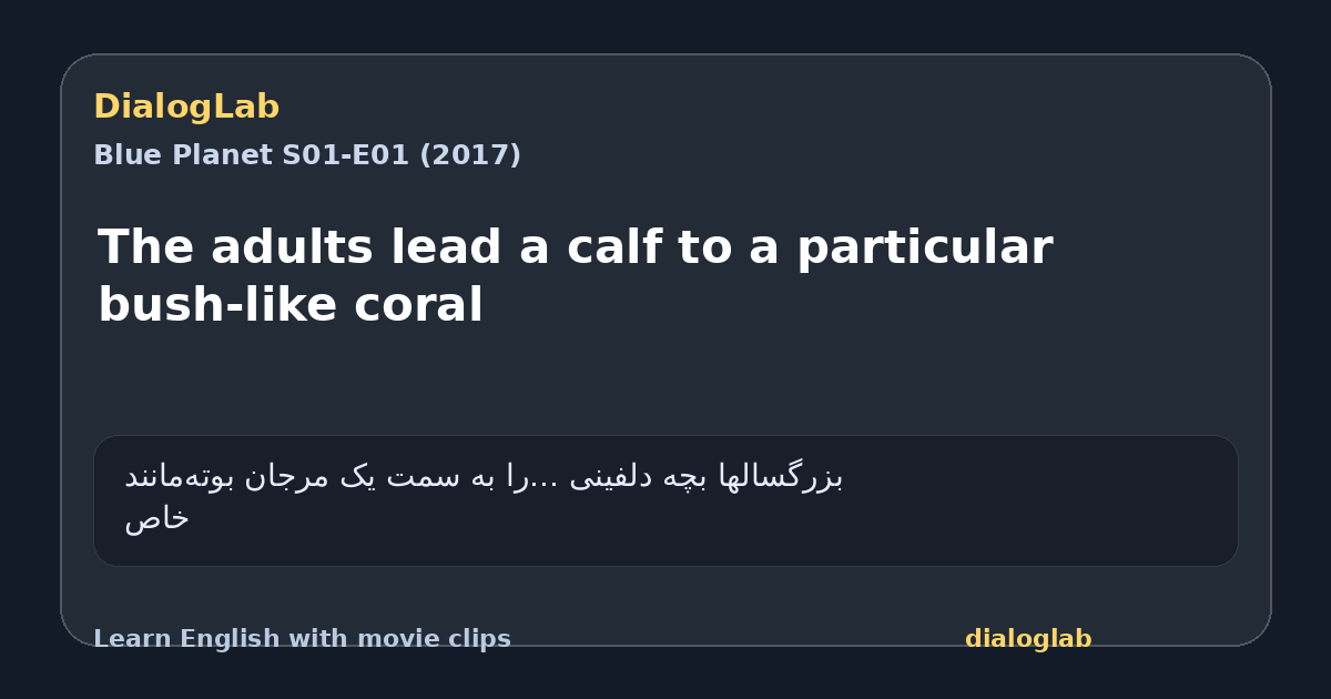Share card for The adults lead a calf to a particular bush-like coral