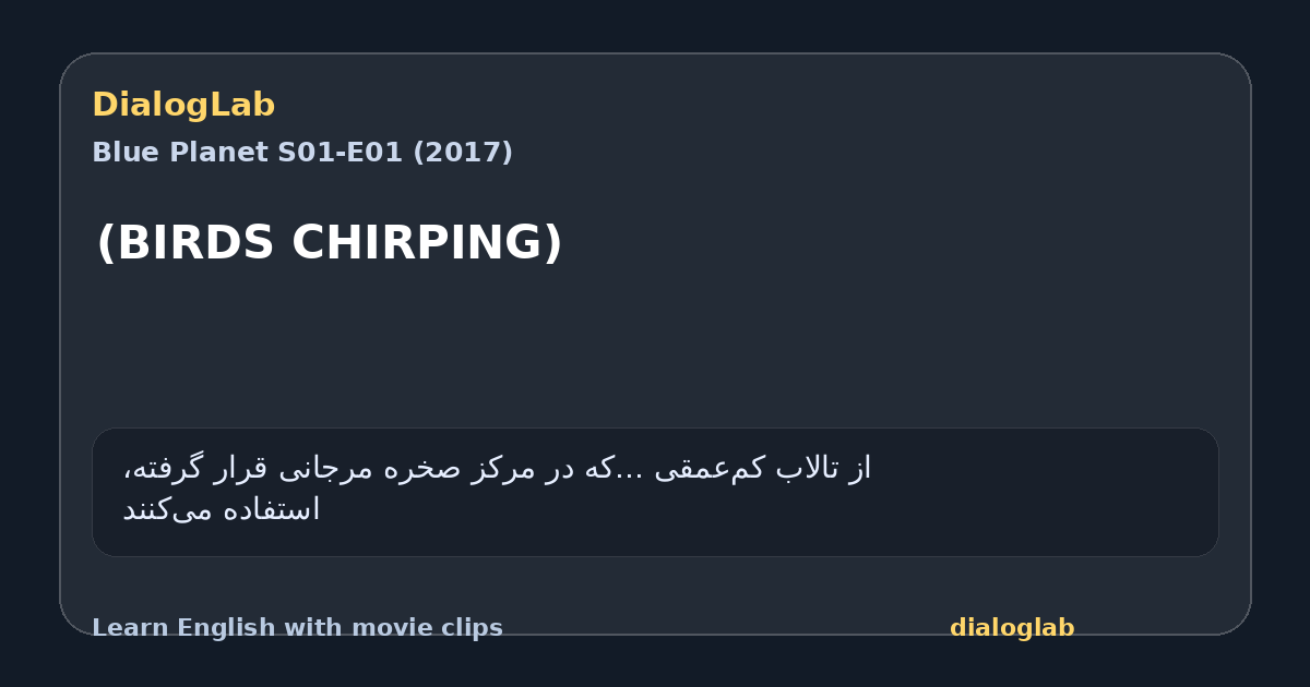 Share card for (BIRDS CHIRPING)