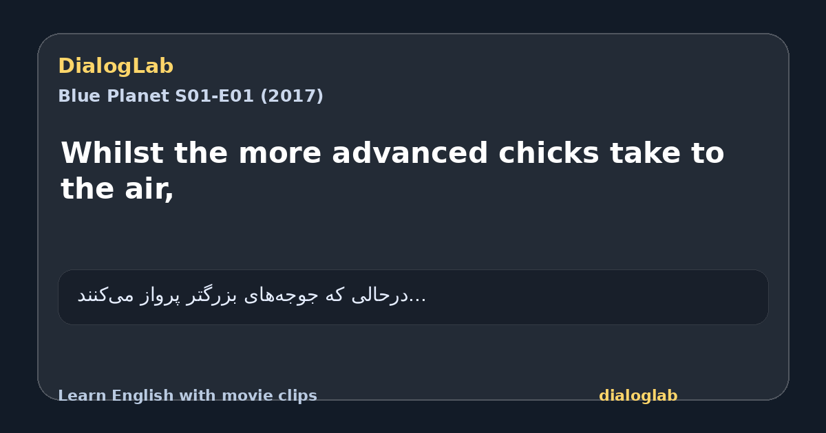 Share card for Whilst the more advanced chicks take to the air,